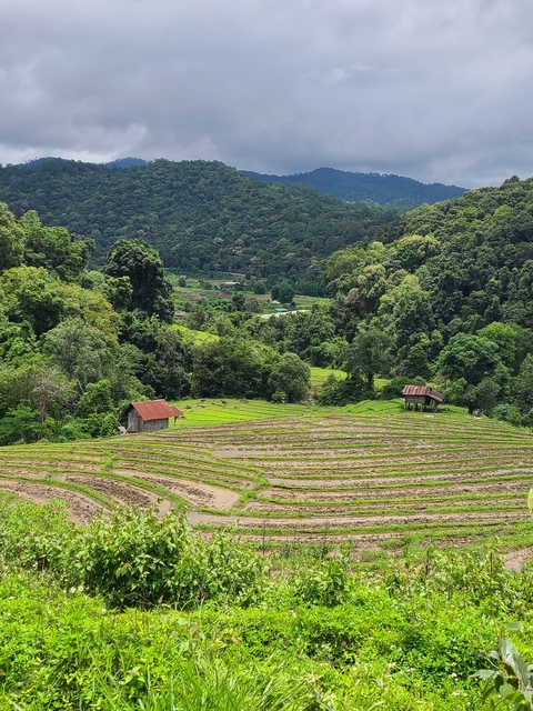 Terraced fields and huts in a lush valley.