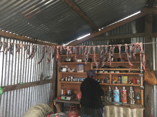 Interior with hanging dried items and shelves.