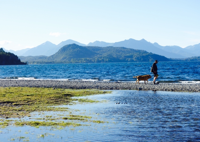       A person walking a dog along a lakeside with mountains in the background.
  