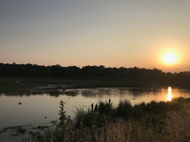       Sunset over a river with silhouettes of distant trees.
  