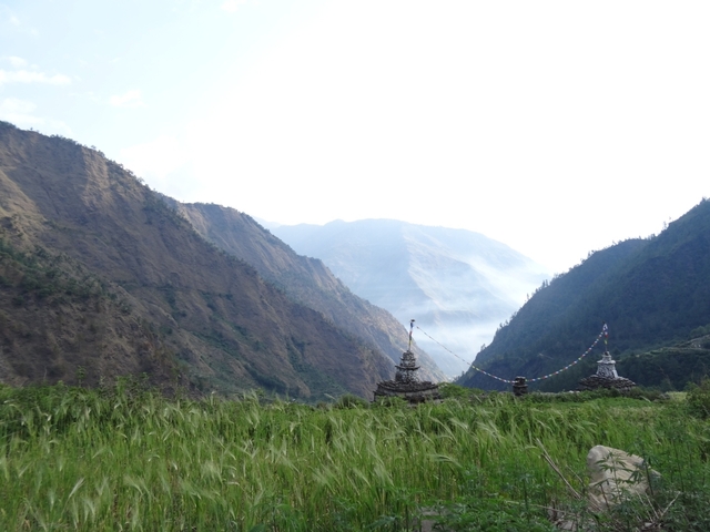       Green field with stupas and mountains in the background.
  