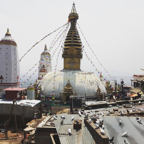       Swayambhunath Stupa covered in prayer flags.
  