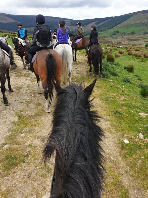       Discover the South East! Kilkenny and Waterford! customer review photo 
  