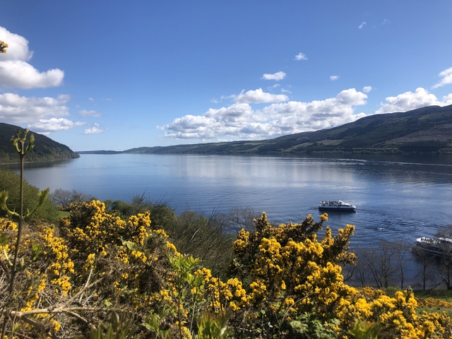 Loch scene with yellow flowers and boats.