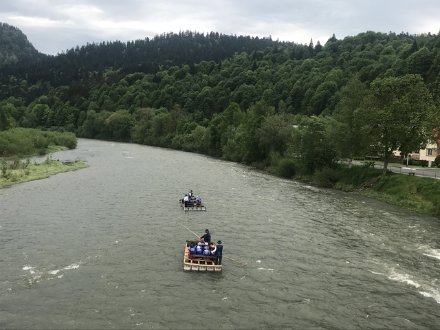 People rafting on a river surrounded by trees.
