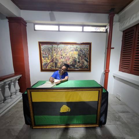       Person posing at a desk with a flag in the background.
  