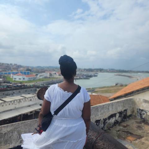       Person overlooking a cityscape from a high vantage point.
  