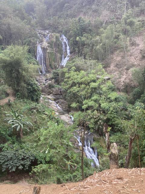       Waterfall in a lush forested area
  
