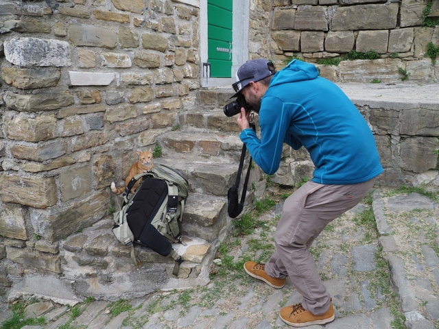 Photographer taking a picture of a kitten on stone steps.