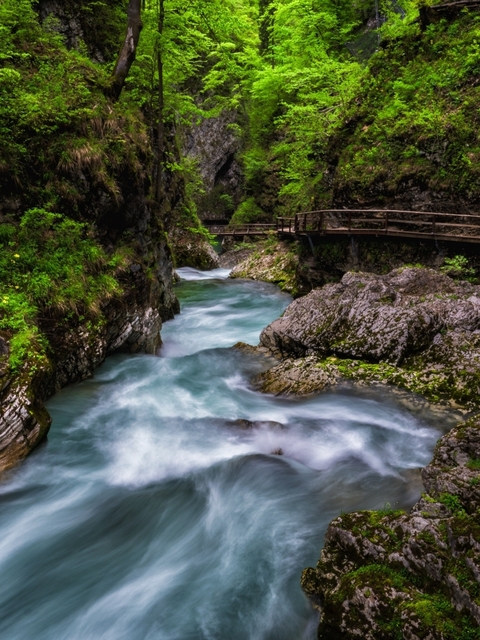 Rapid river flowing through a rocky gorge with a wooden walkway.