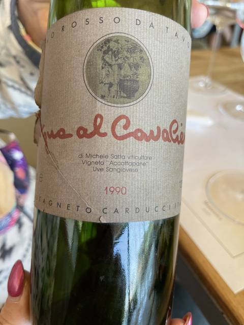 Close-up of a wine bottle labeled Castagneto Carducci.