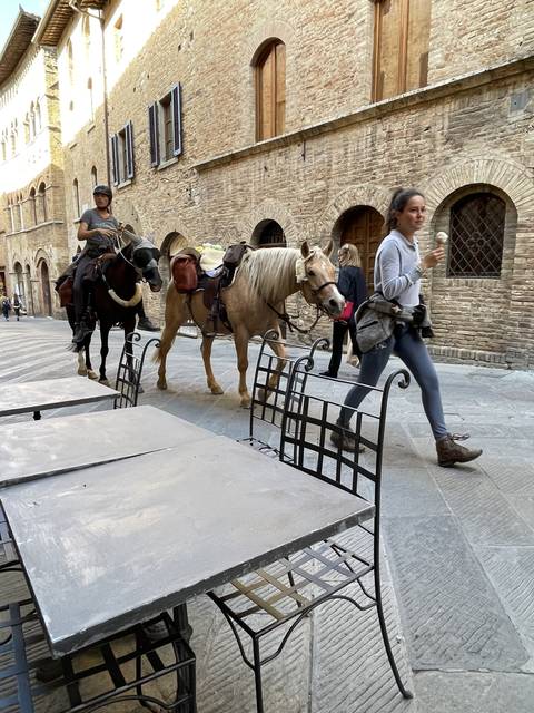 People with horses standing on a street.