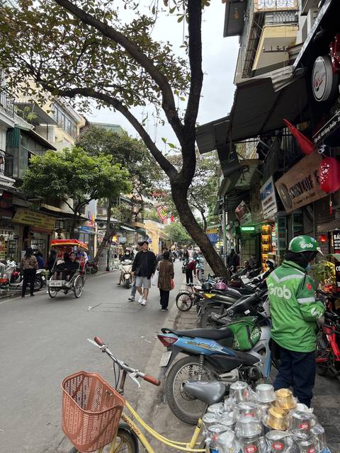 Street market scene with trees and motorcycles.