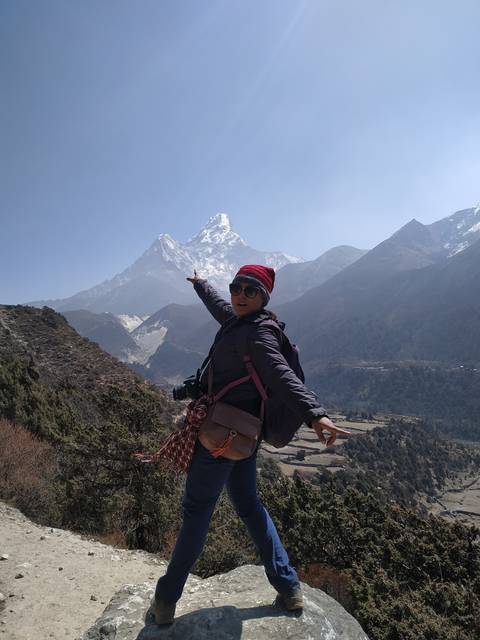       Person pointing towards a snow-capped mountain while standing on a rock.
  