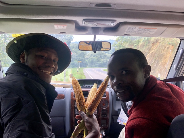       Two people holding roasted corn cobs inside a vehicle.
  