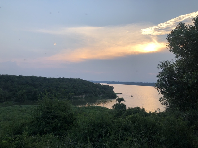 Sunset over a lake with trees in the foreground.