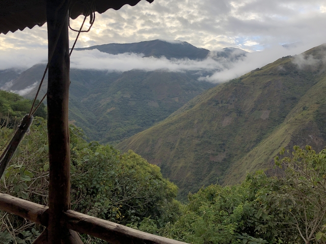 Mountain range with clouds and forested foreground.