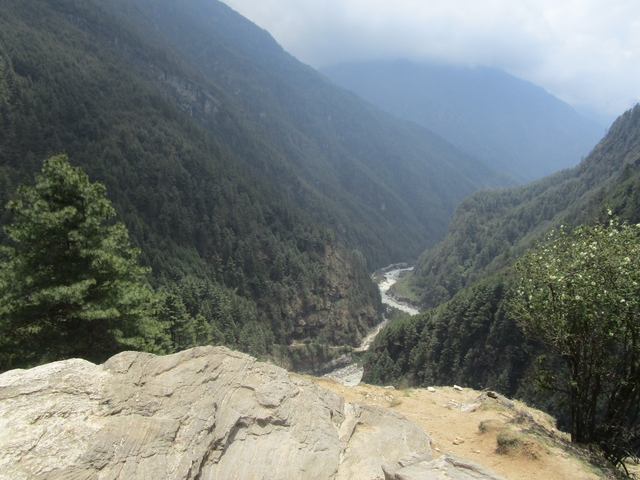 A deep valley surrounded by dense forest.