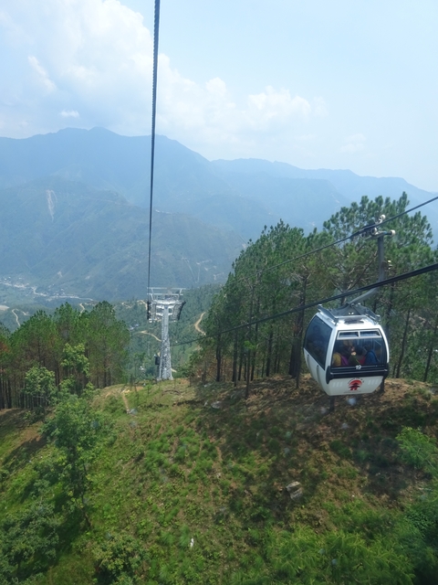 Gondola lift ascending a mountain with pine trees below.