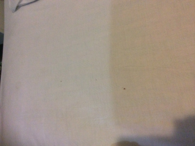       Close-up of a plain and slightly dirty surface.
  