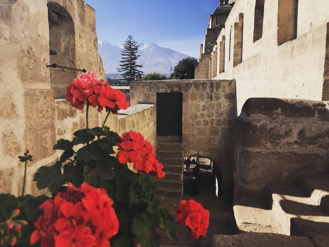 Flowers on a historic stone terrace with a mountain backdrop.