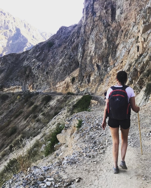 A person hiking on a mountain trail.