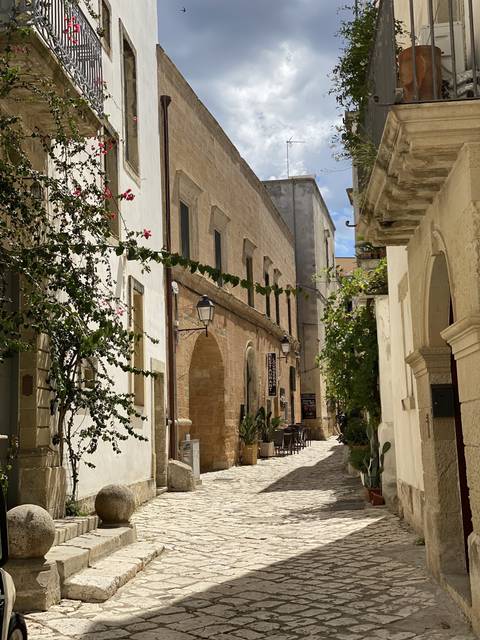       Charming narrow street with historical buildings and plants.
  