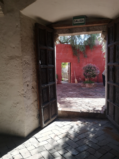 Looking through a doorway into a courtyard with a potted plant.