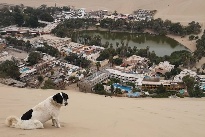 Scenic view of a small village surrounding a natural lagoon in the desert.
