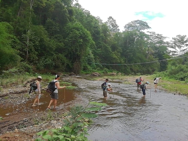 People crossing a shallow river in a forest area.