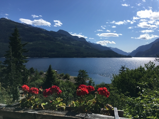 A scenic lake view with mountains and bright red flowers in the foreground.