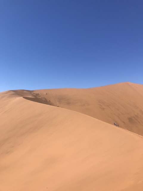 A vast sand dune in a desert with people hiking along its ridge.