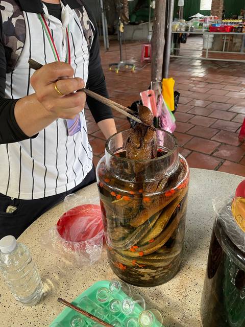      A person holding a jar with snakes preserved inside.
  