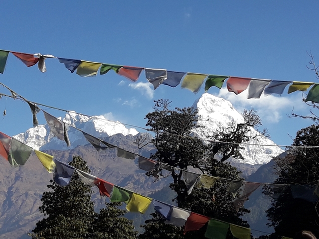 Prayer flags with snow-capped mountains in the background.