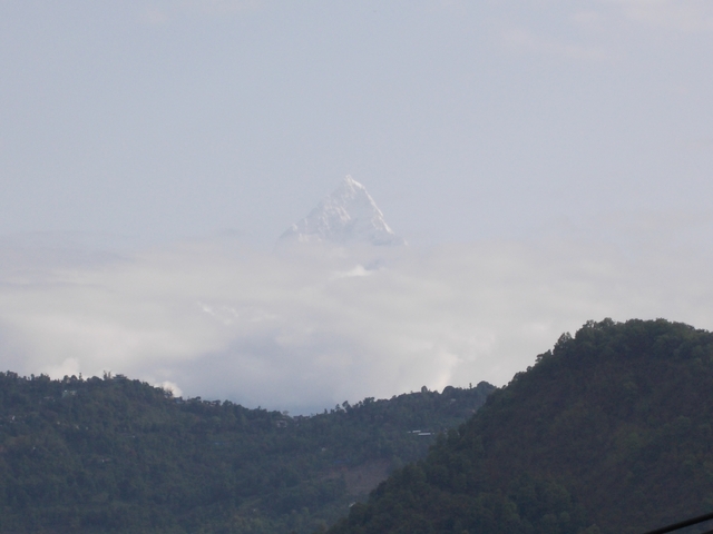Mountain peak rising above clouds with clear skies.