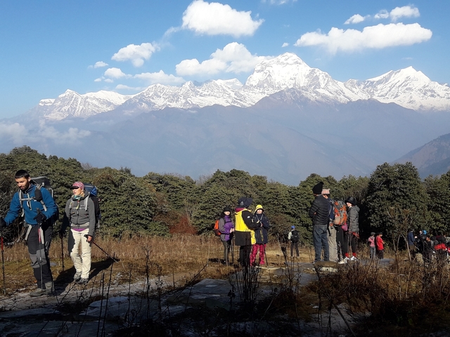 Hikers in a scenic mountain landscape with snow-capped peaks.