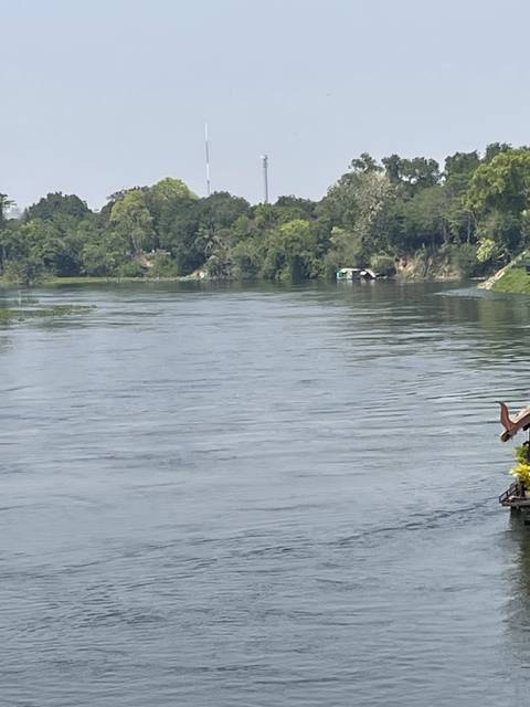       A wide river with trees and communication tower.
  