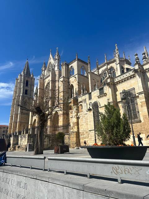 Cathedral with trees and blue sky.