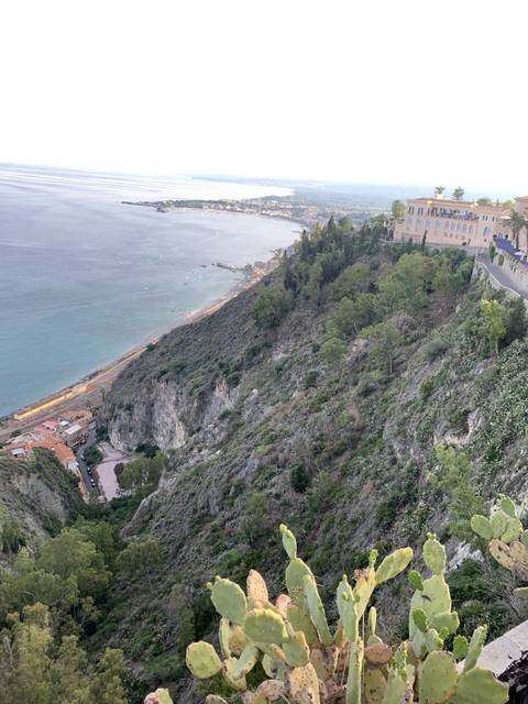       Coastal view with cliffs and vegetation.
  