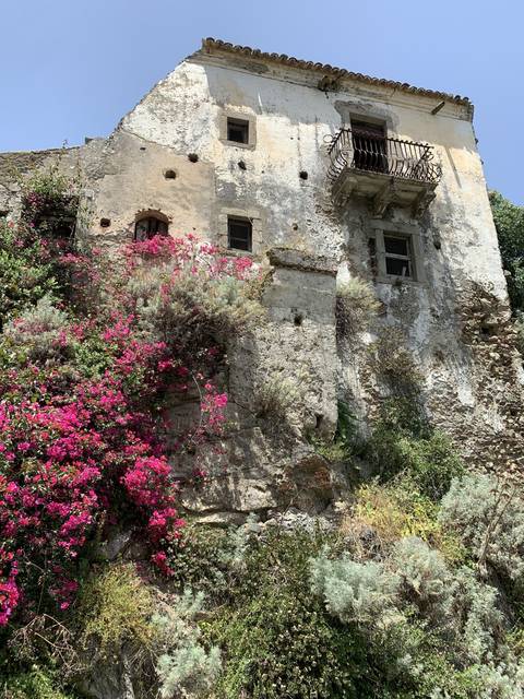       Historic stone building with pink flowers growing on the wall.
  