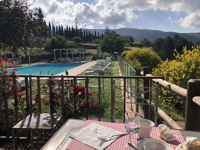 Scenic garden and pool with mountain views.