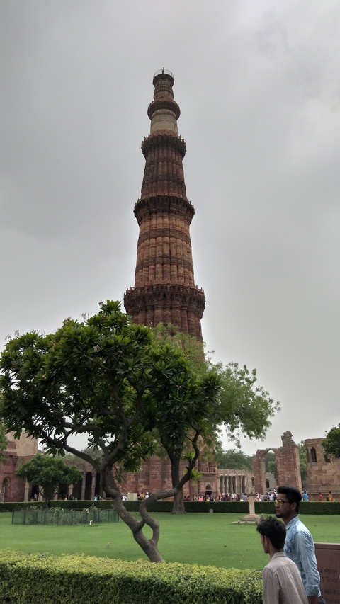       Tower surrounded by trees
  