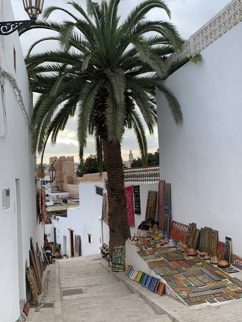 Street view with palm tree and traditional carpets.