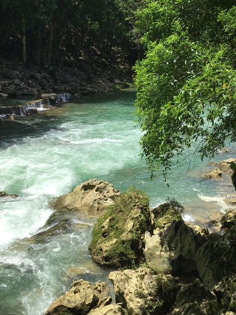       Flowing river with rocks and greenery.
  
