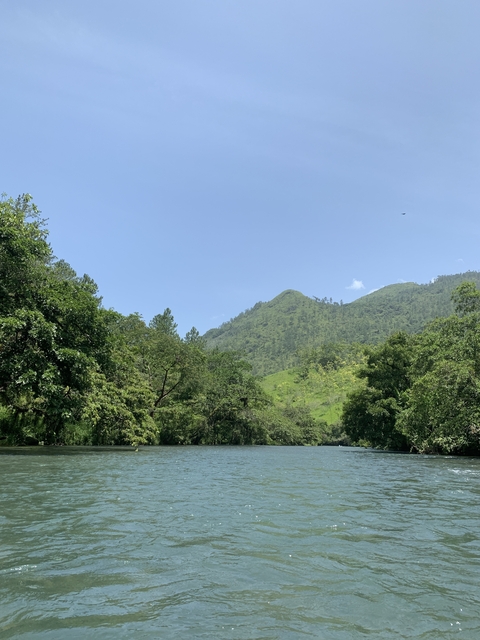       Mountain view with lush trees and blue sky.
  