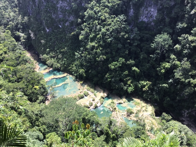       Aerial view of terraced turquoise pools in a forest.
  