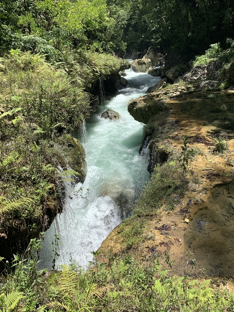      Clear stream flowing through rocks with vegetation.
  