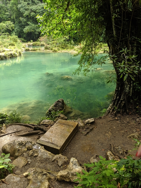      Turquoise water with rocks and tree roots visible.
  