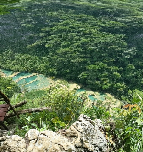       Aerial view of green forest with clear turquoise water pools.
  