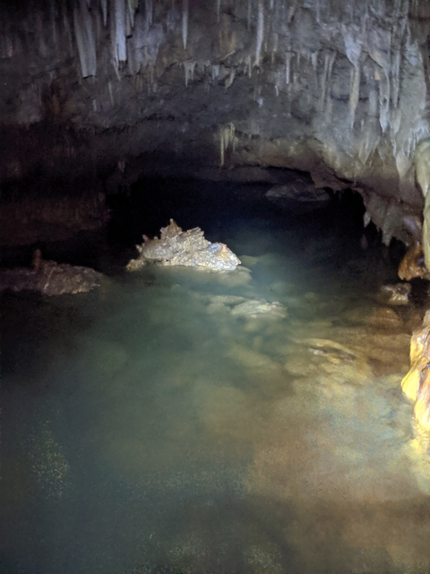       Dimly lit cave with water and rock formations.
  